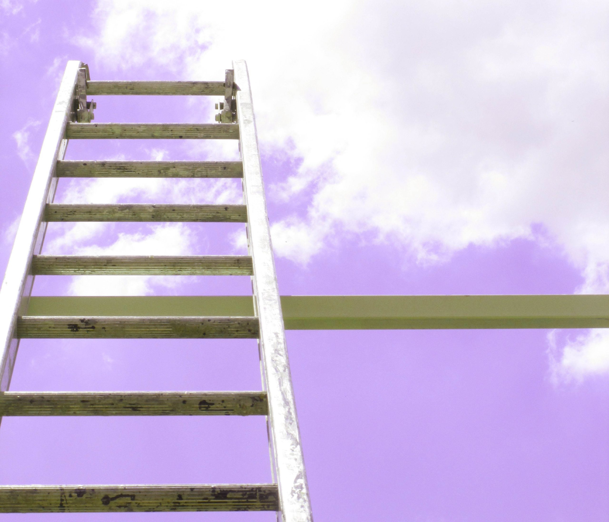 Hierarchy fear ladder